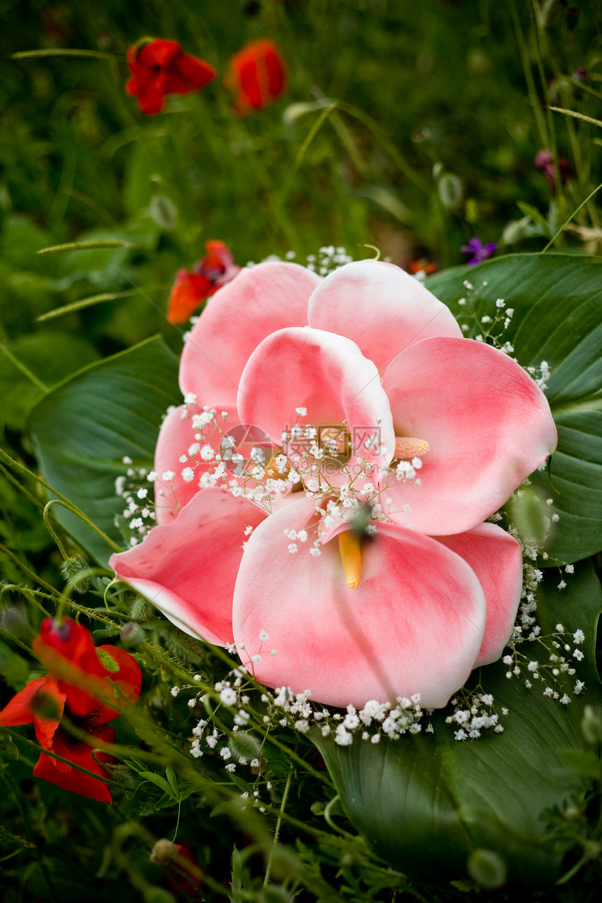 婚礼花束百合粉色花朵花瓣绿色活力图片