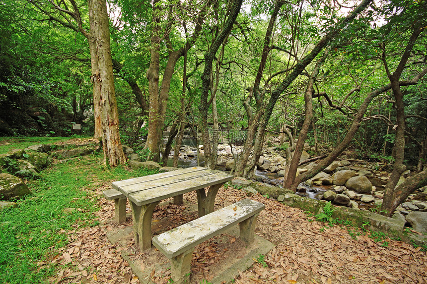 森林中的恶劣地点餐厅草地假期场景森林长椅木头椅子休息场地图片