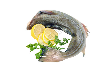 生鱼 装饰柠檬和草药鳕鱼海鲜白鱼草本植物背景图片