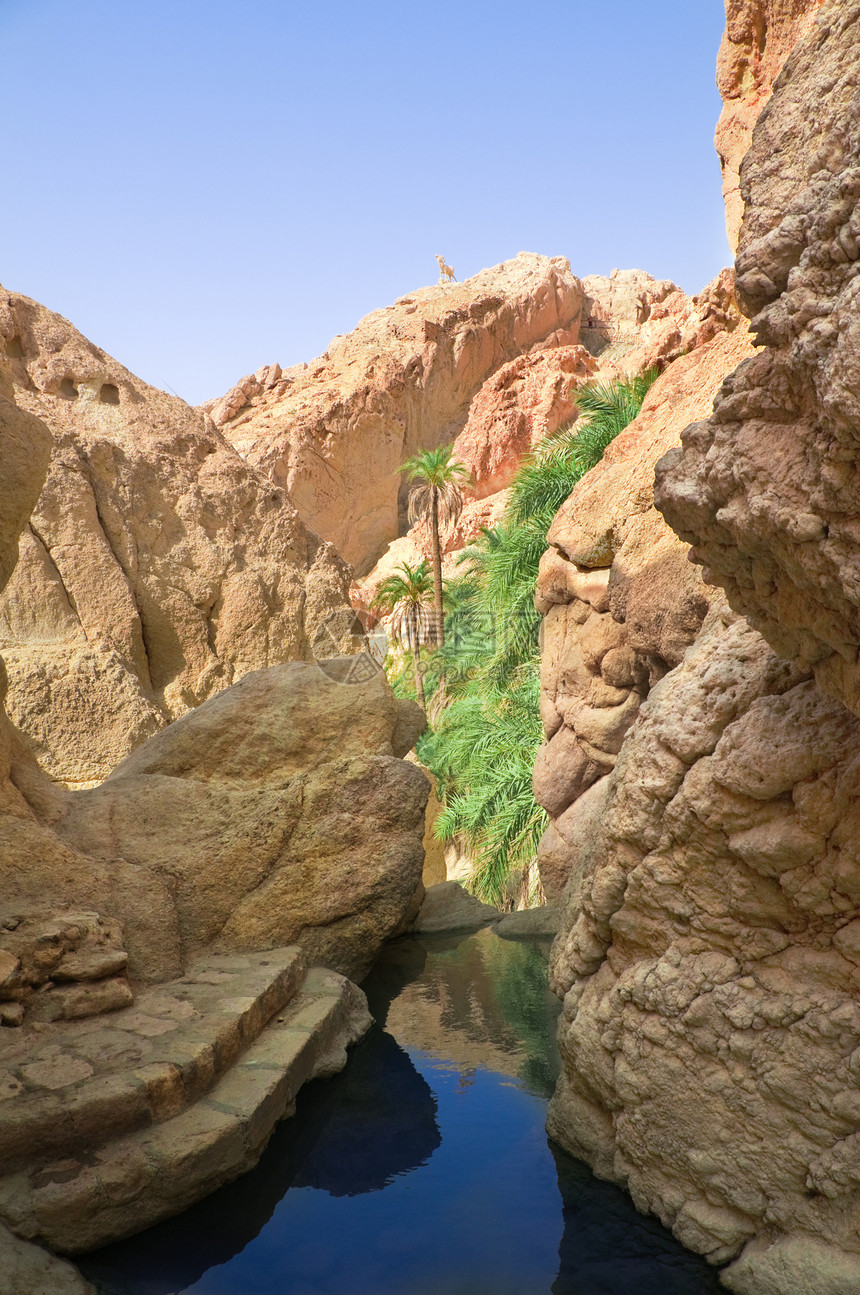 托泽尔绿洲岩石之间的河流图片