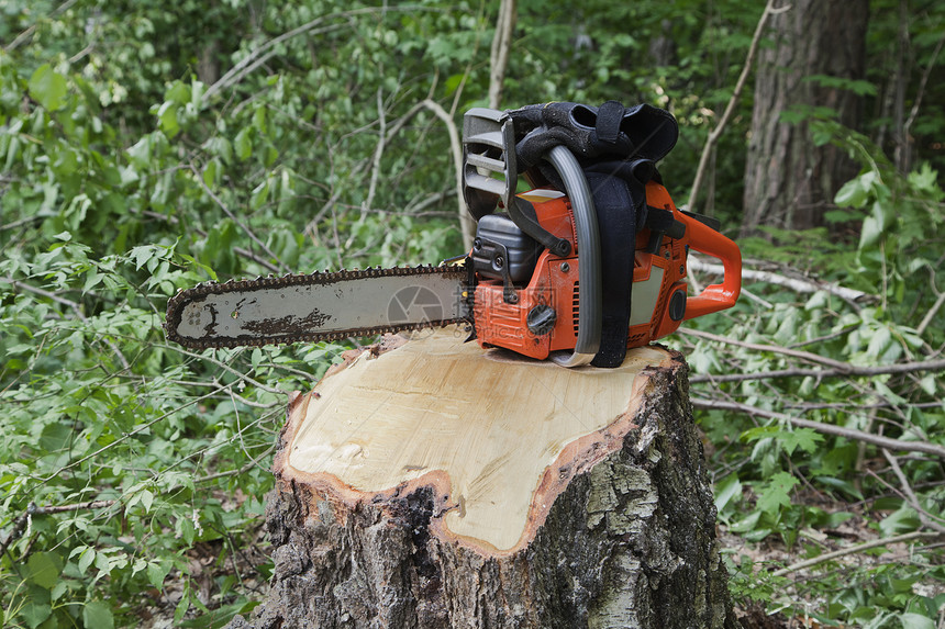 木桩上的电锯树干绿色林业木头记录机器机械水平工业链锯图片