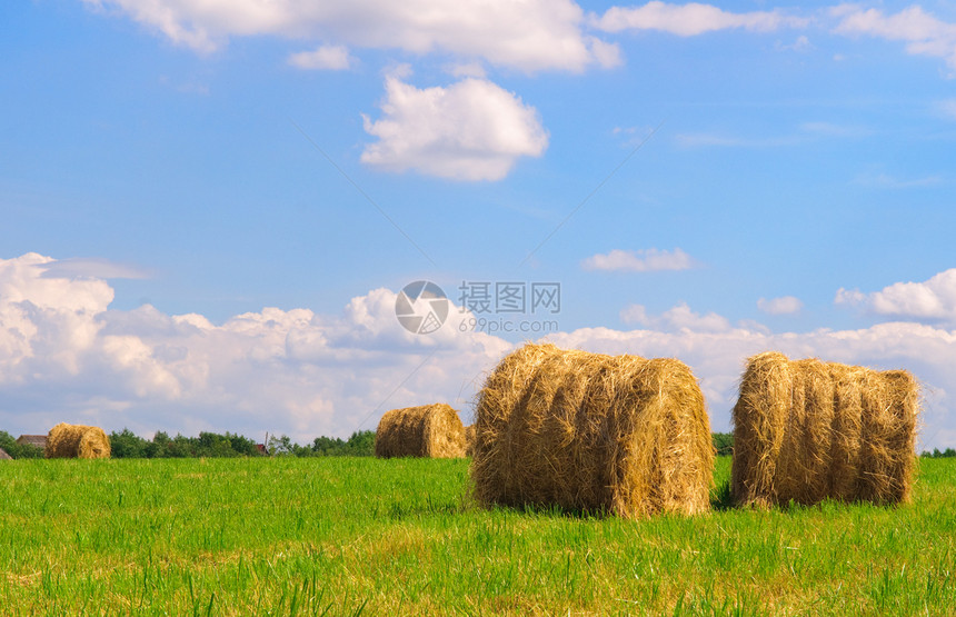 实地的草标国家土地天空农村场地粮食稻草季节环境小麦图片