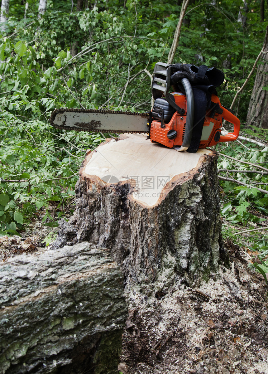 木桩上的电锯机械木材木头链锯橙子绿色引擎刀刃森林机器图片