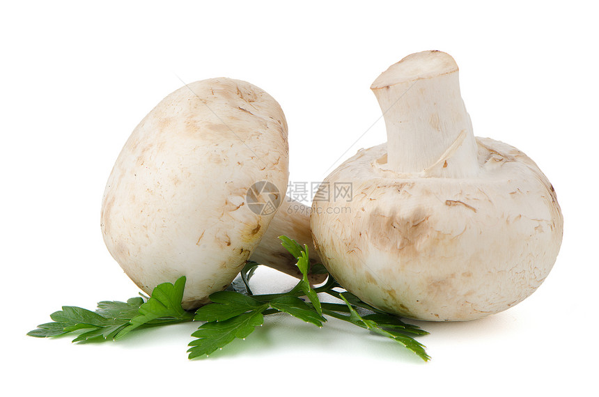 香格里翁蘑菇和树叶节食蔬菜美食香菜保健叶子小吃宏观卫生图片