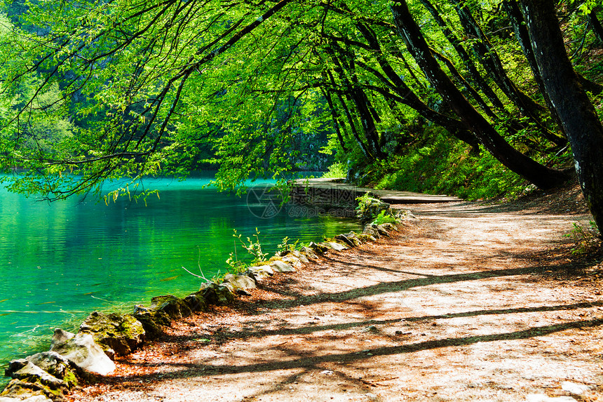 克罗地亚普利维茨湖国家公园一林湖附近道路图片