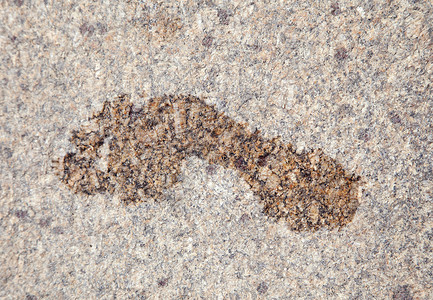 花岗岩湿足迹假期海滩红色脚印水泥水平打印脚步石头背景图片