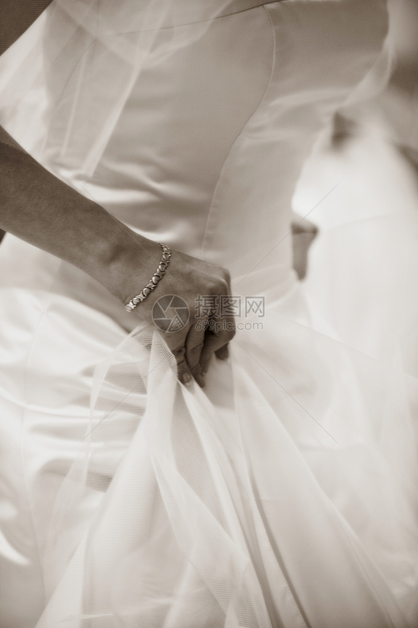 婚纱服装新娘棕褐色订婚庆典仪式女士婚礼配件婚姻图片