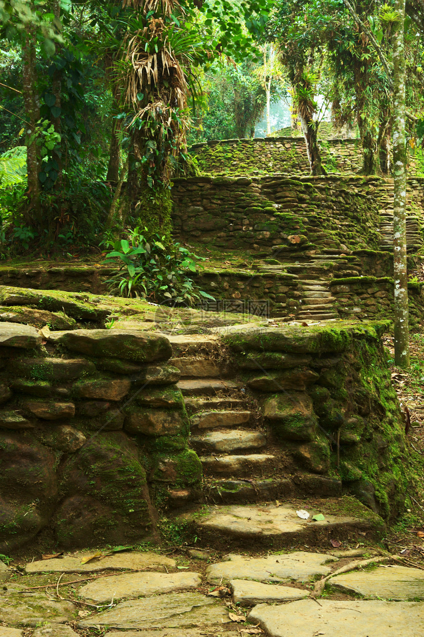 哥伦比亚佩尔迪达市的石塔和地铁小路楼梯植物遗产石头森林木头丛林历史建筑图片
