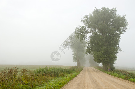 晨雾中的砂石路高清图片