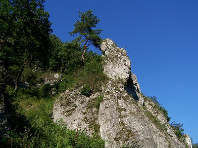 岩石旅行风景松树荒野运动季节高山小路天空石头高清图片