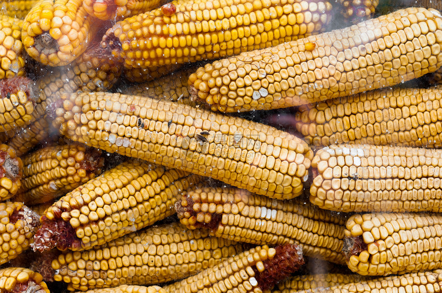 干玉米质图片