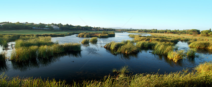 自然天然沼泽地远景植被蓝色地平线池塘沼泽日光天空风景荒野图片