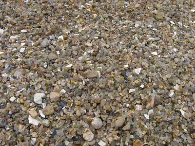 海滨海滩海滩海岸地面贝壳石头背景图片