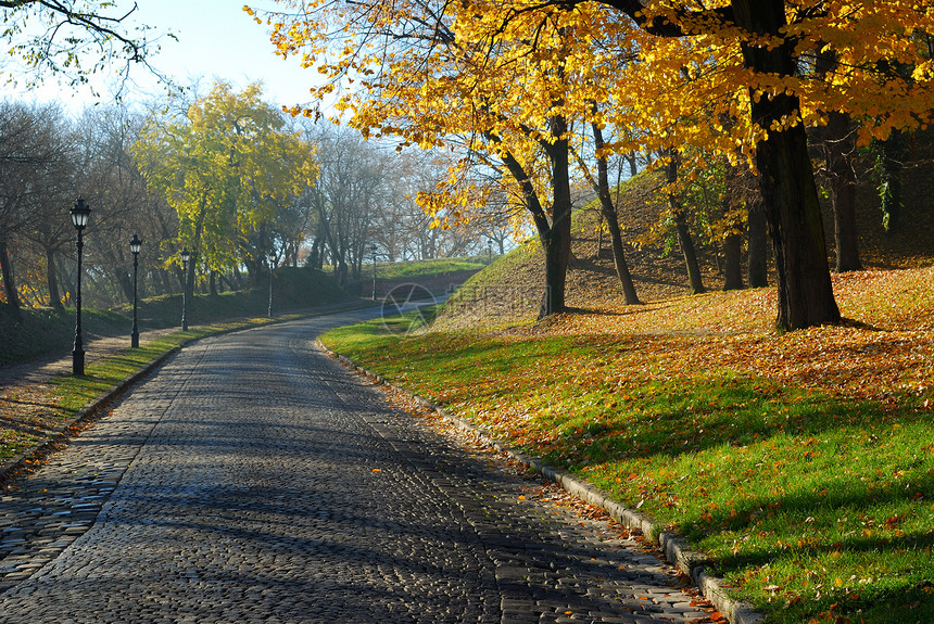 秋季上午小路晴天天气树木场地时间农村国家公园树叶图片