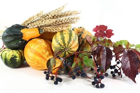 感恩篮子市场节日爬行者水果季节小麦蔬菜植物葫芦高清图片