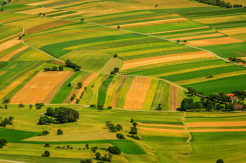 收获前绿色田野空中观察国家橙子地面食物农村场景谷物农作物晴天生长图片