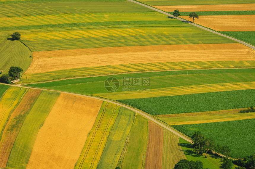 收获前绿色田野空中观察农村房子国家晴天食物谷物小麦地面池塘场地图片