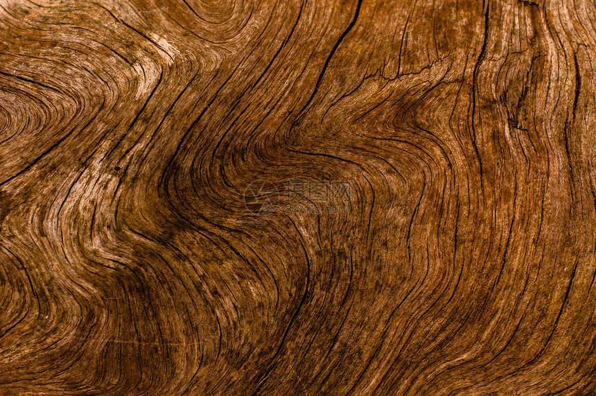 天然木质材料背景摘要 摘要硬木木材戒指木头棕色橡木照片图片