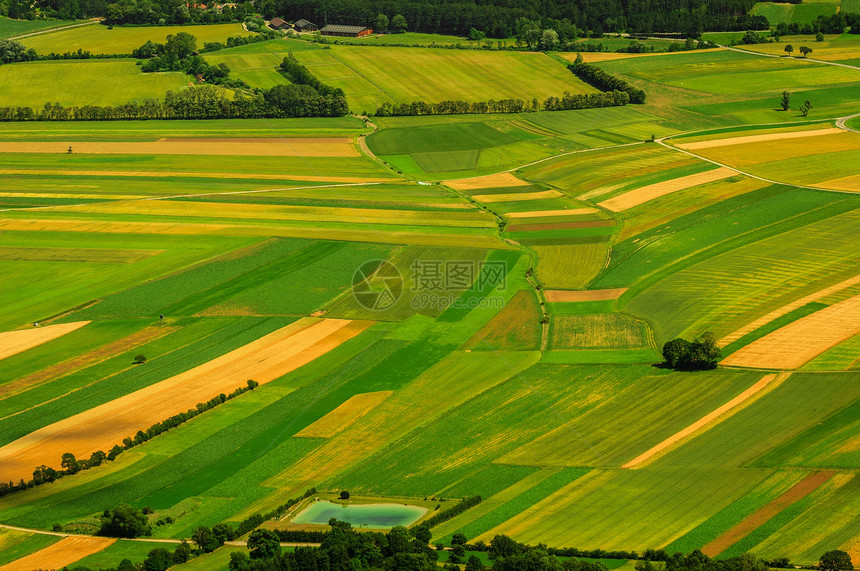 收获前绿色田野空中观察晴天阳光季节场地收成农作物场景地面农业国家图片