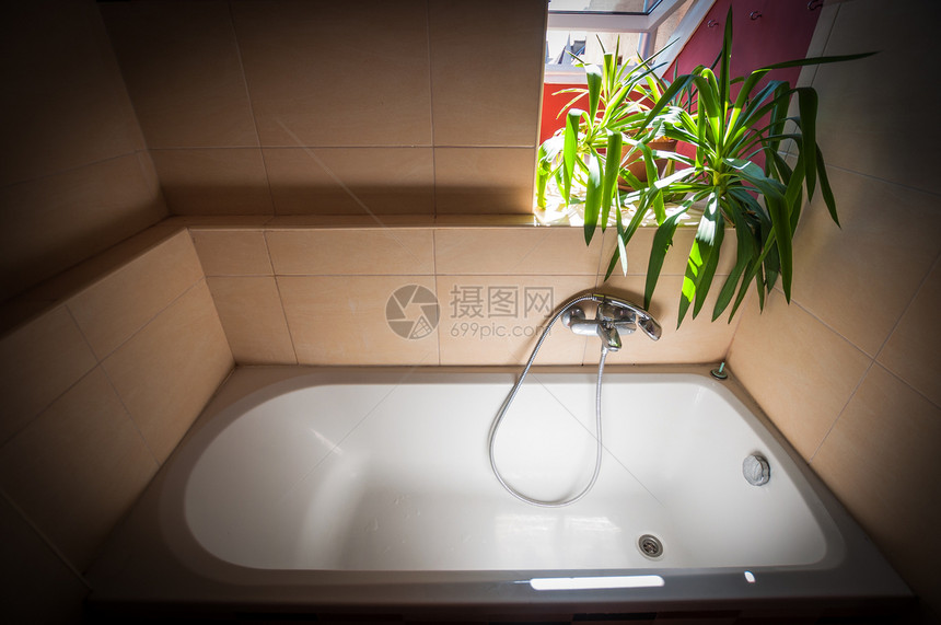 夏光下清洁浴缸浴室温泉奢华休息白色卫生间卫生绿色植物图片