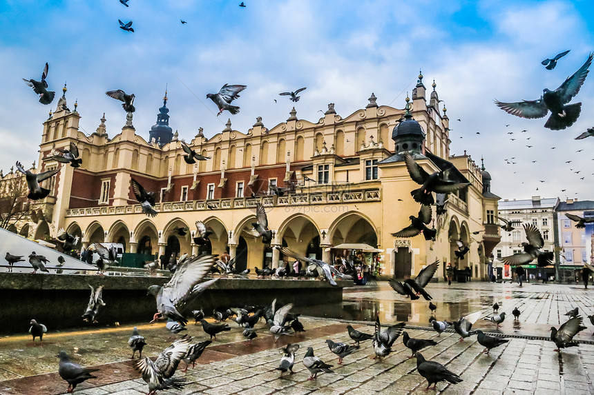 克拉科夫老城有很多鸽子房子上帝市场旅游城市教堂宠物民众正方形游客图片