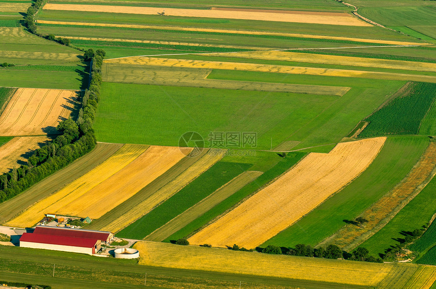收获前绿色田野空中观察地面食物阳光谷物收成农作物金子村庄橙子季节图片