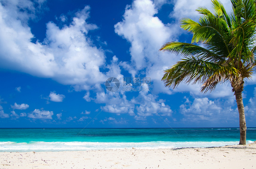 海滩沙滩海洋海岸天空太阳热带支撑海景蓝色假期冲浪图片