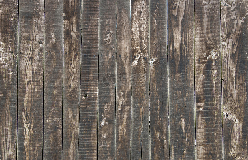树木背景背景风格木工宏观装饰木材木地板木头硬木桌子样本图片