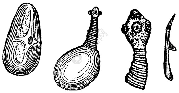 绦虫猪排虫或泰尼亚 旧式雕刻绘画艺术品感染艺术叶绿素动物动物学蚀刻笨蛋古董插画