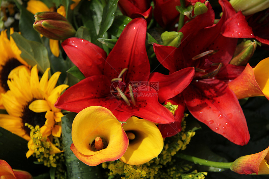 黄色和红色的莉莉花束花朵粉色新娘婚姻植物群装饰品花店花瓣中心桌子图片