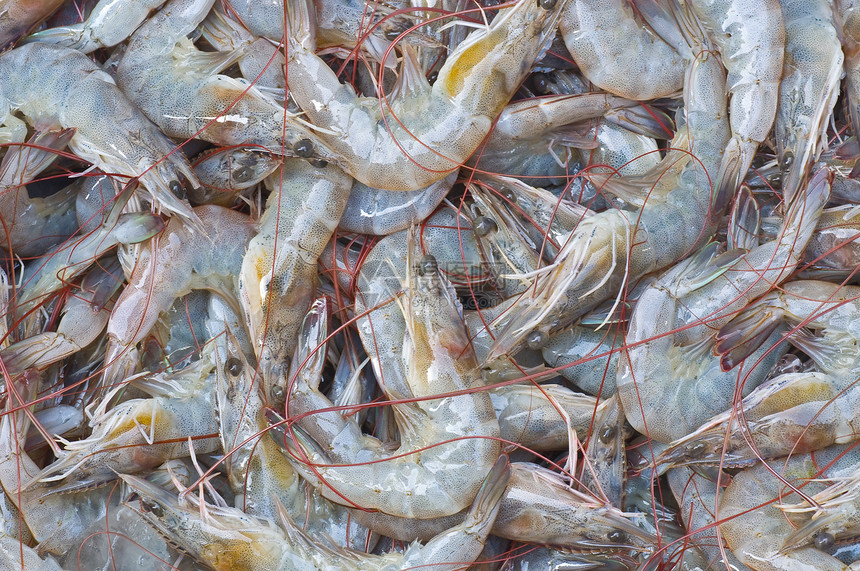 虾美食海鲜宏观营养贝类市场食物团体图片