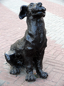 狗的青铜雕塑背景图片