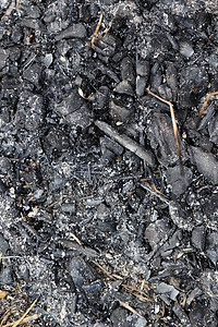 木炭 熄灭的营火背景图片