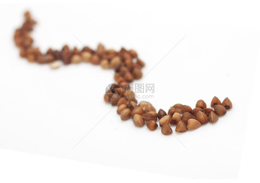白色背景的公麦 特写植物纤维棕色粒子宏观种子营养团体玉米内核图片