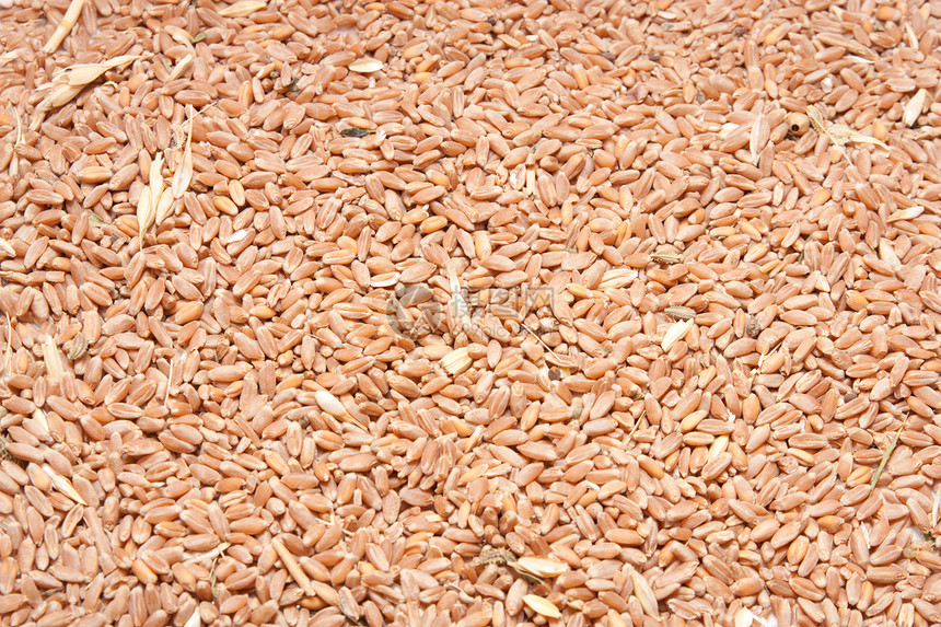 以小麦为背景谷物食物午餐面包粮食早餐厨房白色玉米种子图片
