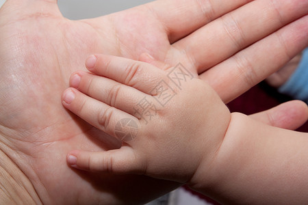 父亲和婴儿的手新生儿孩子救助新生手臂后盾白色父母手指护理背景图片
