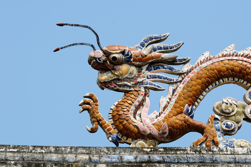 屋顶顶的龙 维特南旅游文化上帝寺庙宗教花园眼睛蚂蚁历史天空图片