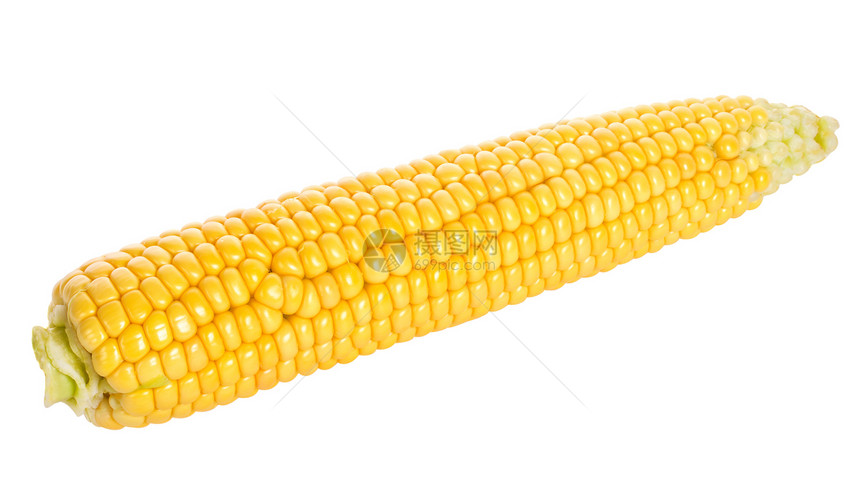 密闭成熟玉米谷物食物小吃植物收成黄色营养图片