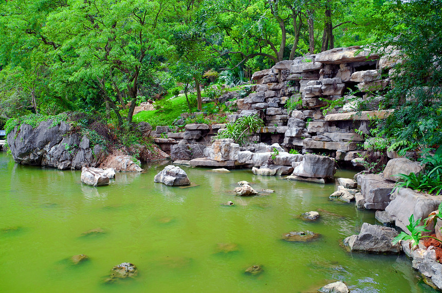 绿色日本池塘图片