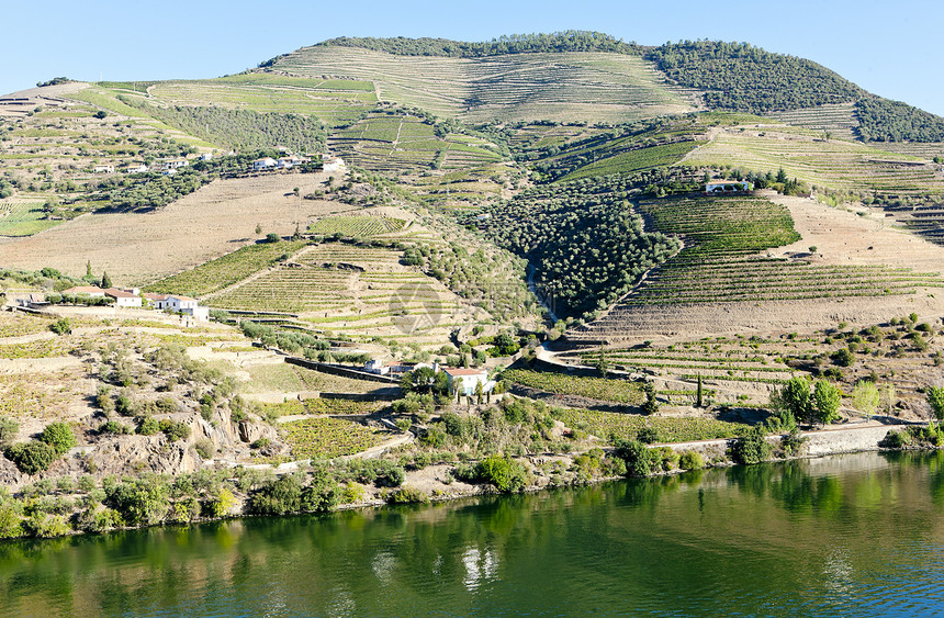 葡萄牙杜罗谷乡村酒业农业位置世界遗产国家旅行栽培世界风景图片
