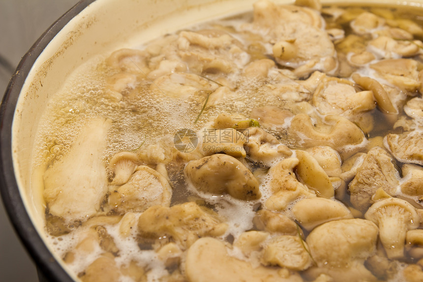 蘑菇在锅里做饭食物膀胱疔疮平底锅白色厨房食谱图片