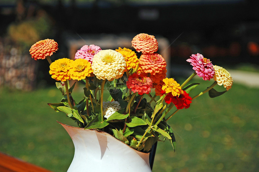 秋花花花瓣花束花园季节性花朵大丽花植物花瓶图片