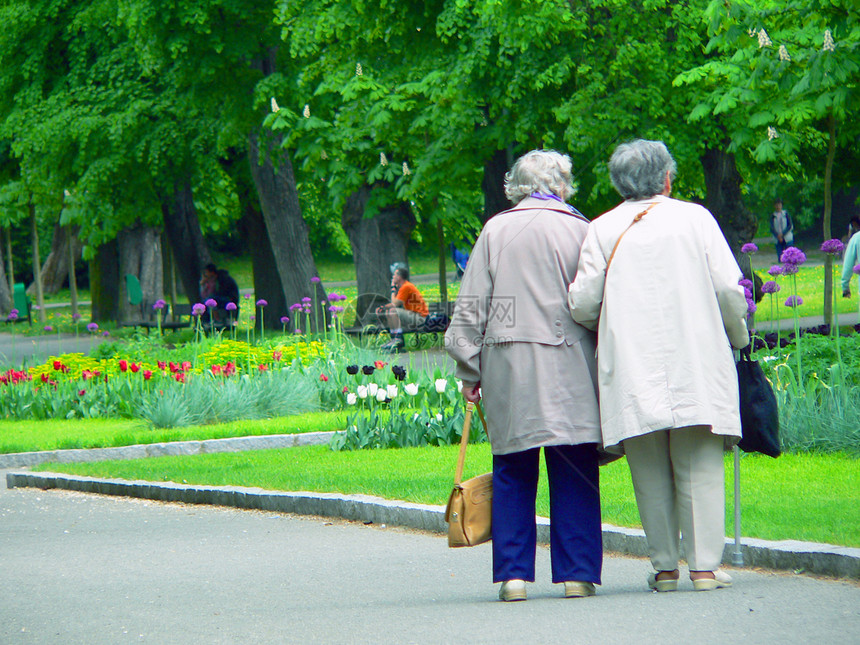 老年人在公园散步图片