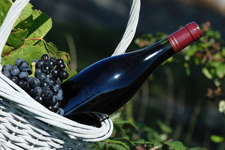 博若莱红葡萄酒瓶生产农业饮料树叶篮子烹饪农村藤蔓教会国家背景