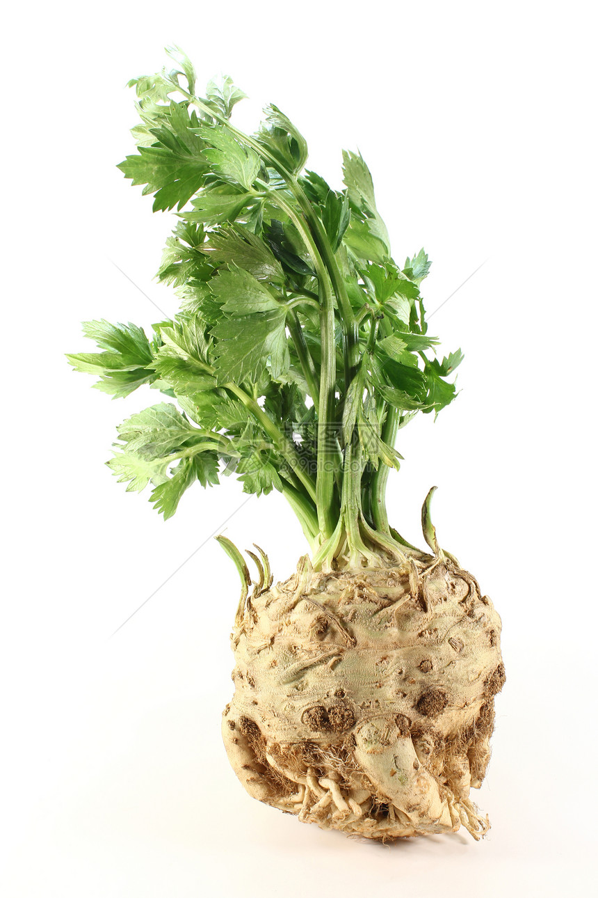 切菜青菜栽培块茎叶子食物蔬菜芳香作物绿色饮食图片