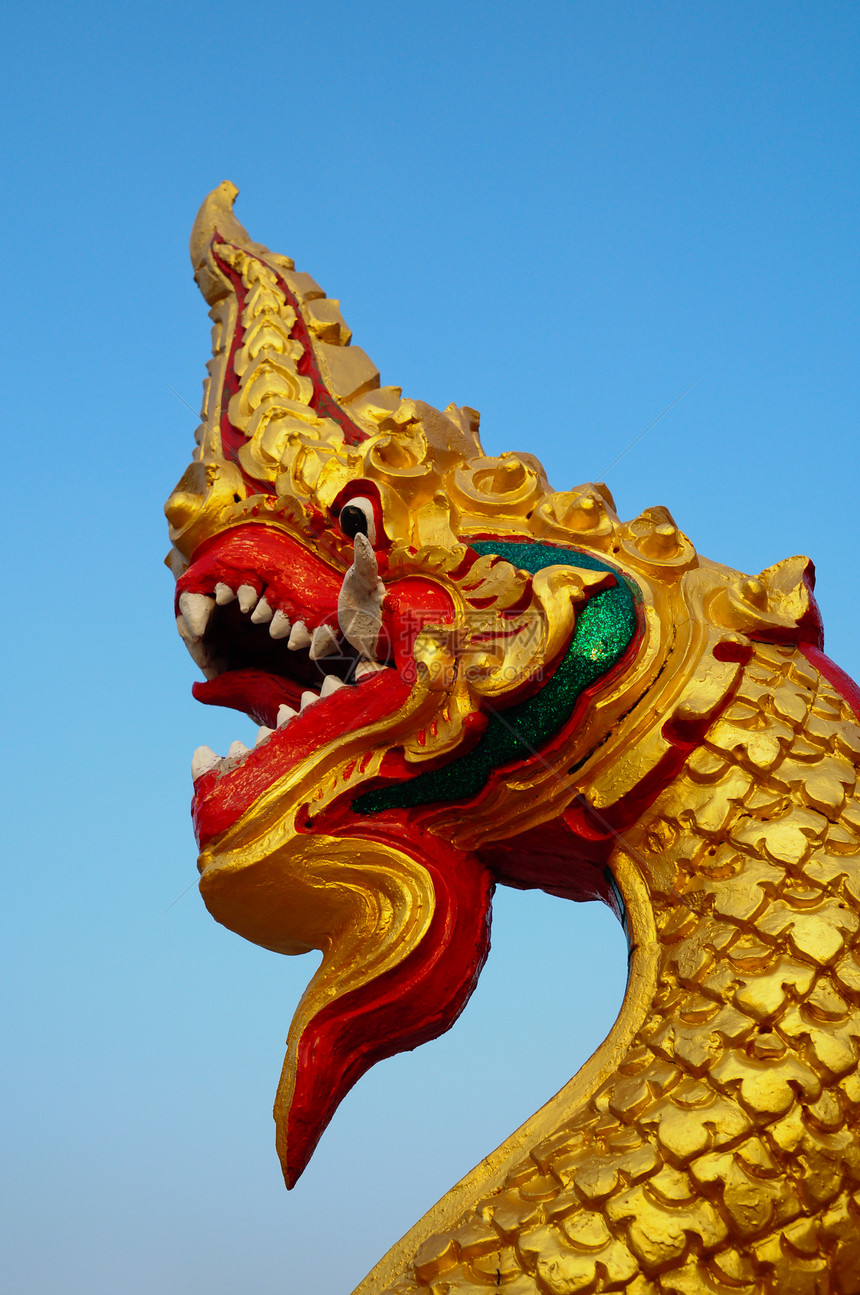 泰国龙或长永之王天花板旅游金子神话动物旅行雕像佛教徒建筑学古董图片
