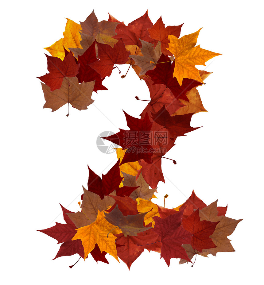二号多色秋叶成分 分离出来字母季节学校叶子树叶收藏数字黄色红色植物群图片