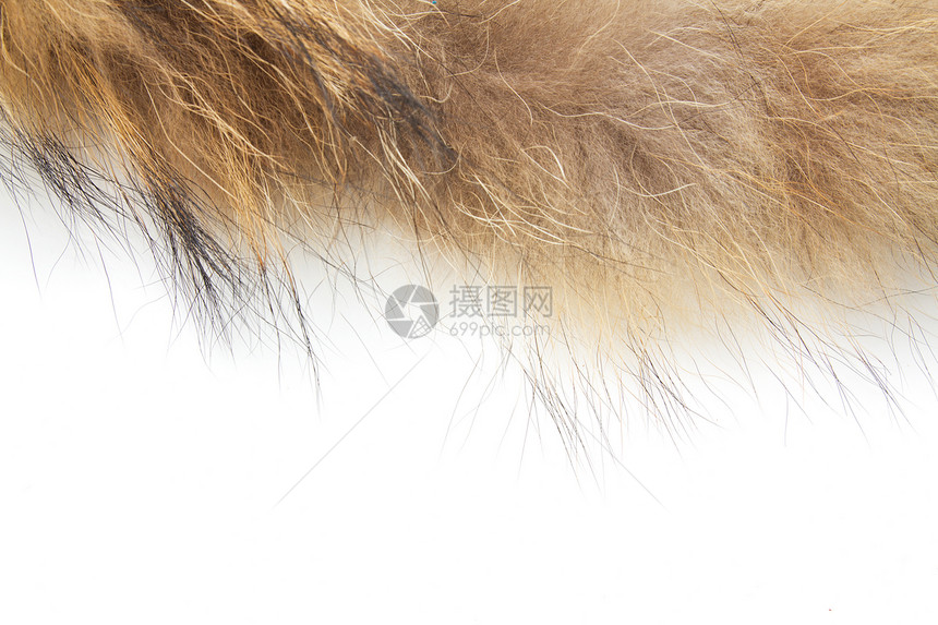 白色背景上的毛皮异国材料猫科地毯皮肤情调外套绒毛棕色黑色图片