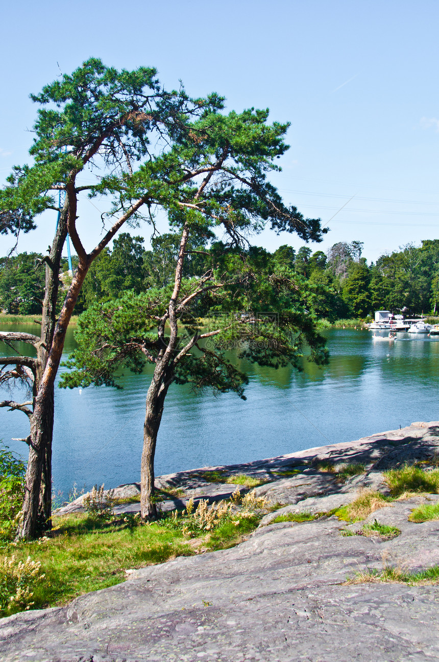 洛基公园蓝色天空支撑花岗岩绿色风景岩石海岸石头公园图片