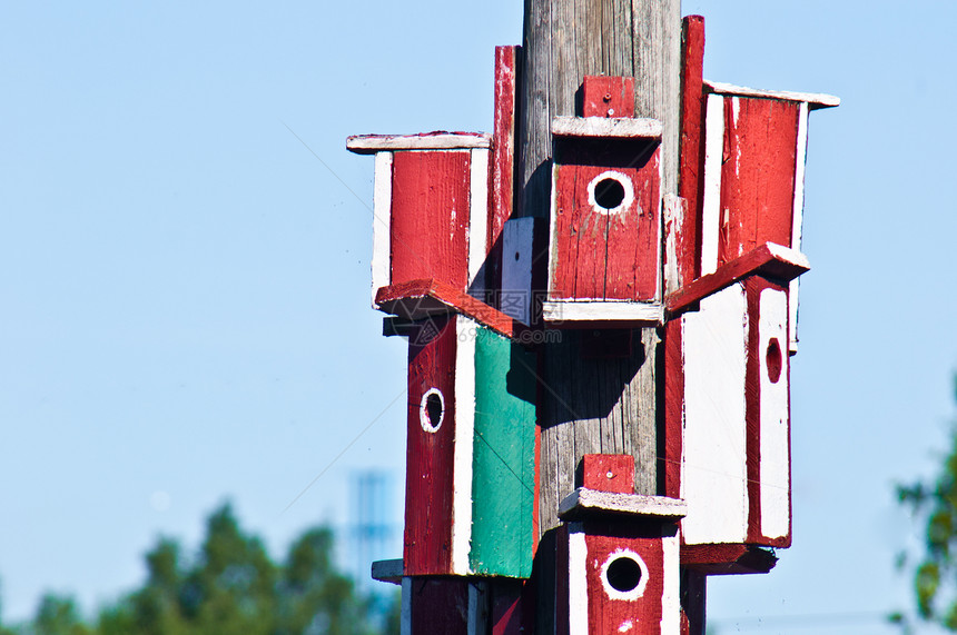 鸟屋鸟巢红色乡村盒子季节木头环境图片